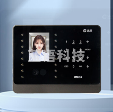 汉王（Hanvon）C226S 面部识别签到机 刷脸考勤上下班打卡机 黑色