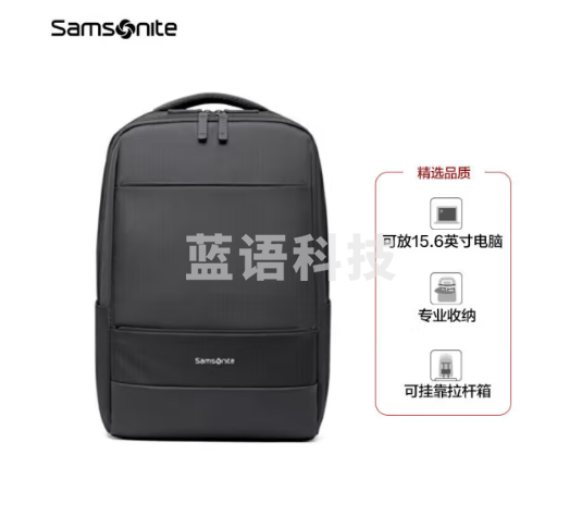 新秀丽（Samsonite）双肩包电脑包15.6英寸男女背包书包商务旅行通勤包TX6*09001黑色