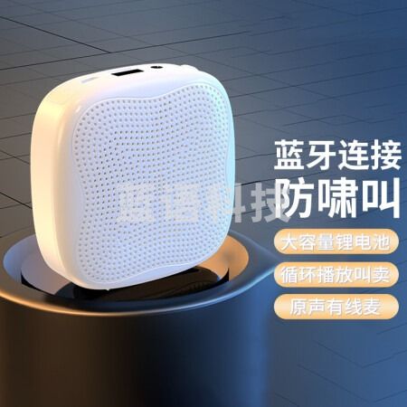 雅兰仕 (EARISE) H1小蜜蜂扩音器教师蓝牙音箱腰挂麦克风导游U盘插卡便携式喊话器教学上课专用 白色