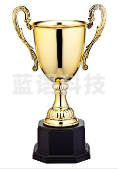 瑞丽 RL-51CM 金属奖杯 可定制-CC17510