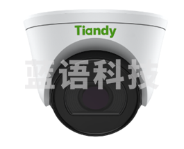 天地伟业（TIANDYTECH）400万像素级半球摄像机 TC-C55SN（台）
