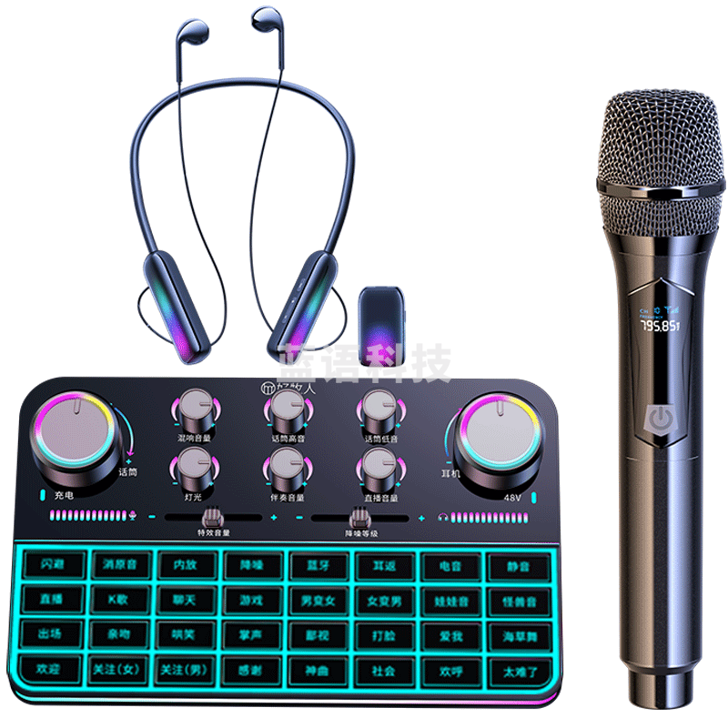 好牧人 声卡直播设备全套装一体机 无线麦克风监听耳机抖音主播唱k歌手机专用电脑专业话筒调音台 
V15