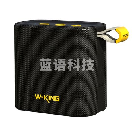 维尔晶（W-King）D2无线蓝牙音箱迷你低音炮户外防水便携式背包自行车摩托车骑行小音响高音质超长续航黑色