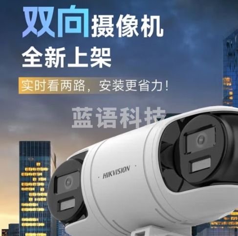 HIKVISION海康威视监控器双摄像头800万全彩夜视360度全景室内外手机远程语音对讲人形侦测3R446WD-L 4MM