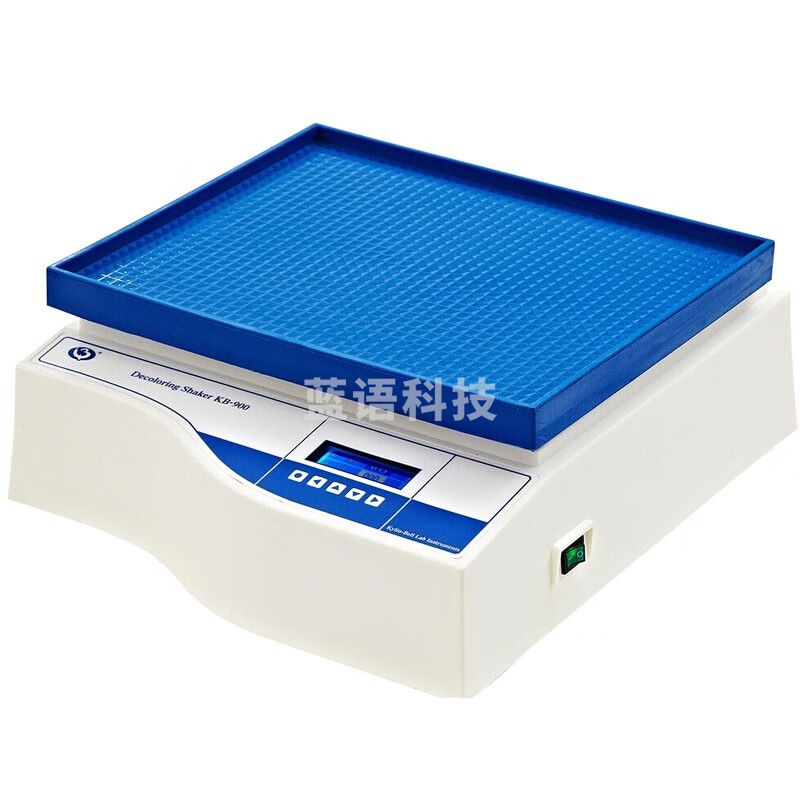 JISENPUER海门其林贝尔KB-900智能脱色摇床混匀混合器回旋振荡数字式可定时 KB-900混匀混合器(含税)