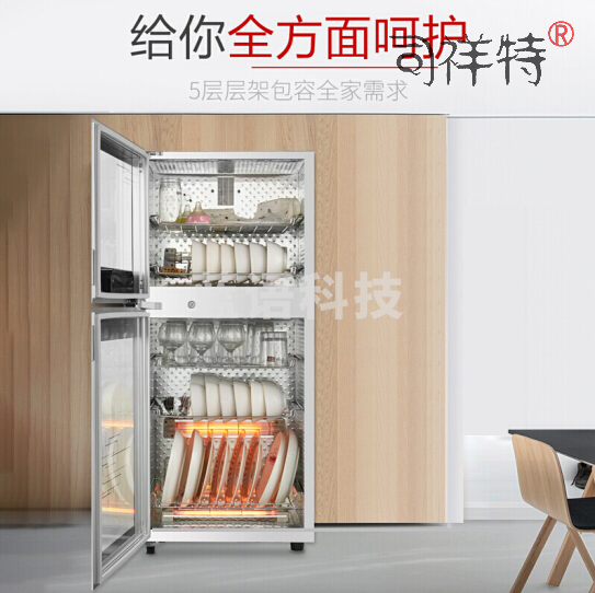 康宝(Canbo)80升小型立式臭氧杀菌高温消毒厨房碗柜 独立控制 二星消毒柜 XDZ80-YD28