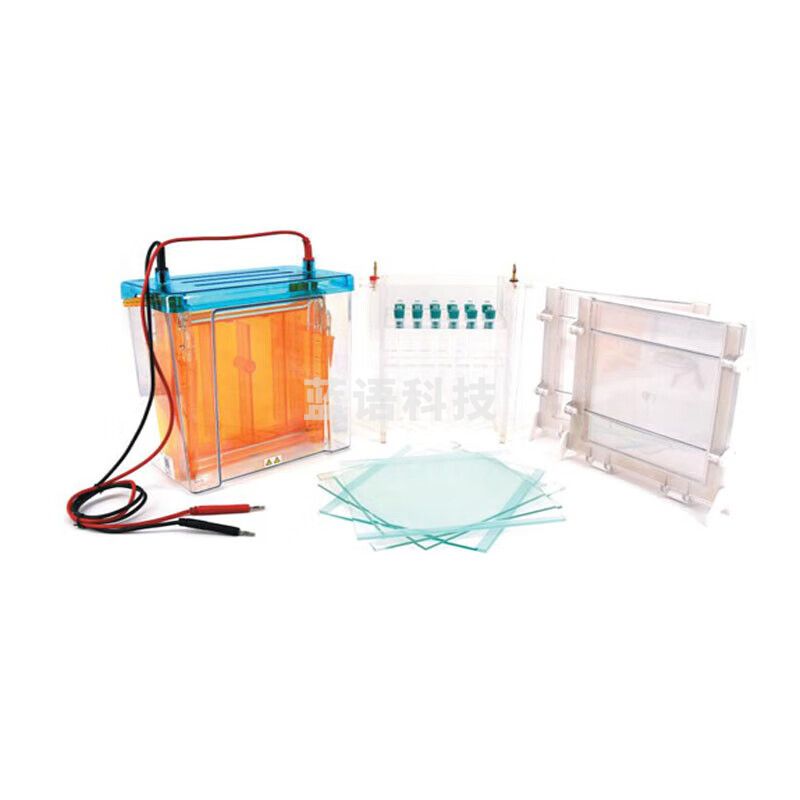 JISENPUER北京六一DYCZ-26C型双向电泳仪 DYCZ-26C