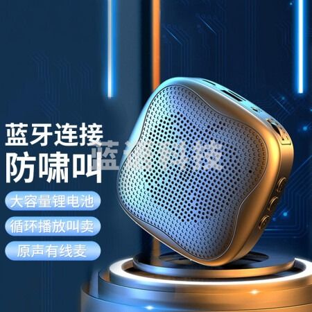 雅兰仕 (EARISE) H1小蜜蜂扩音器教师蓝牙音箱腰挂麦克风导游U盘插卡便携式喊话器教学上课专用 黑色