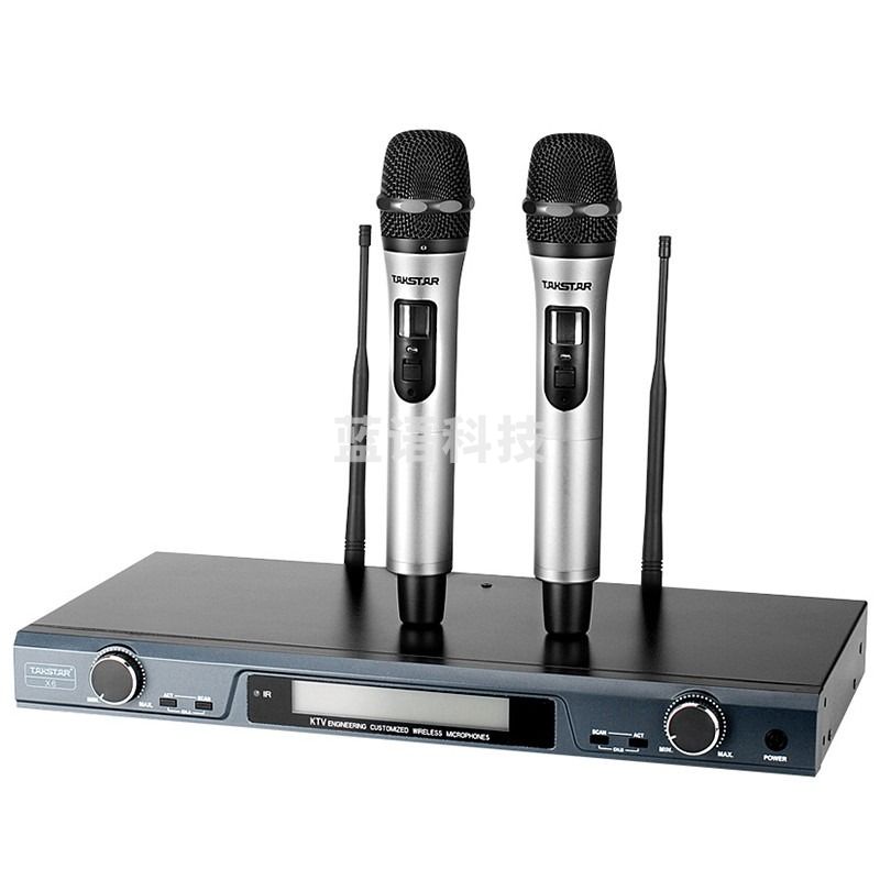 得胜(TAKSTAR)X6 U段可调频无线麦克风 一拖二无线话筒 专业演出会议主持话筒 银色