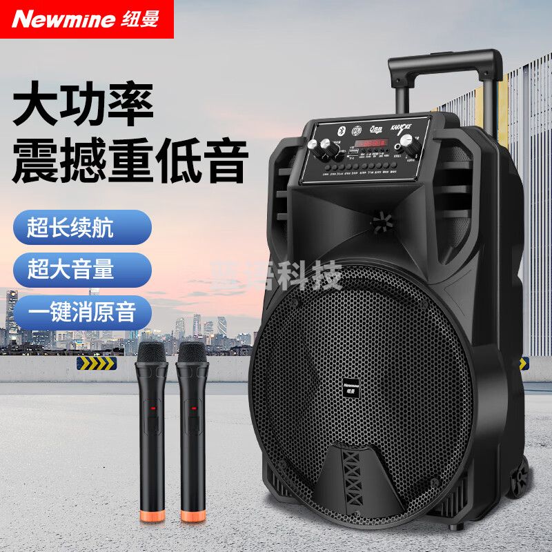 纽曼N509广场舞音响移动家用户外K歌蓝牙音箱拉杆便携式重低音大音量超长续航双麦 12吋 遥控器