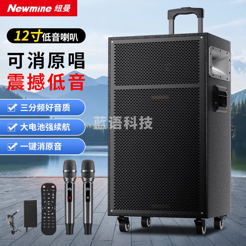 纽曼（Newmine）N550 12寸 广场舞音响户外移动便携式蓝牙音箱重低音带麦克风大功率双麦2喇叭