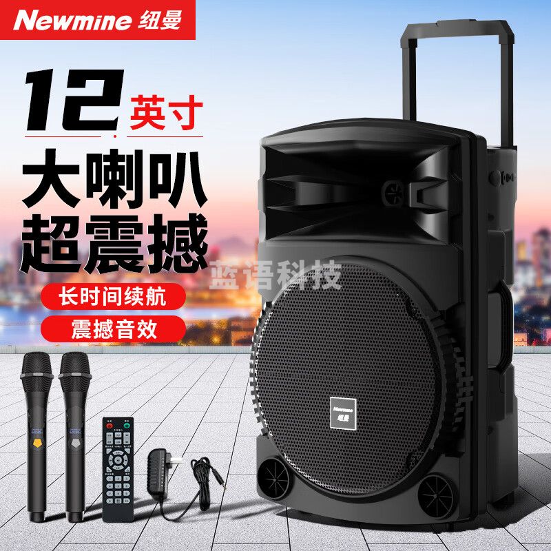 纽曼N522便携广场舞大功率低音炮户外K歌蓝牙拉杆 电木吉他民谣乐器音箱 喇叭双麦12吋 遥控器