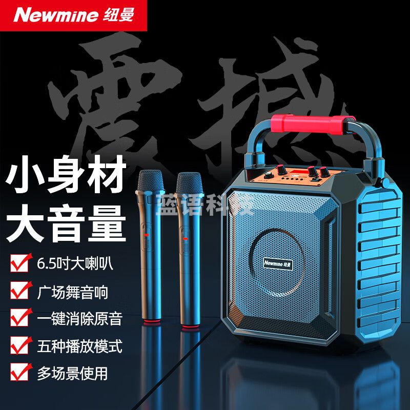 纽曼（Newmine）K220 无线蓝牙 音箱广场舞音响户外大音量便携式低音炮家用K歌音乐播放器  双麦版