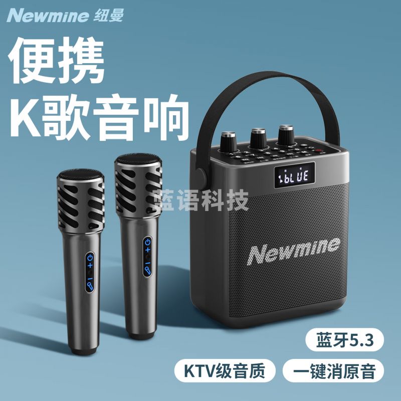 纽曼（Newmine）K519蓝牙音响 k歌音箱大功率音乐 播放器hifi高音质无线户外手提便携式 超长续航 双麦