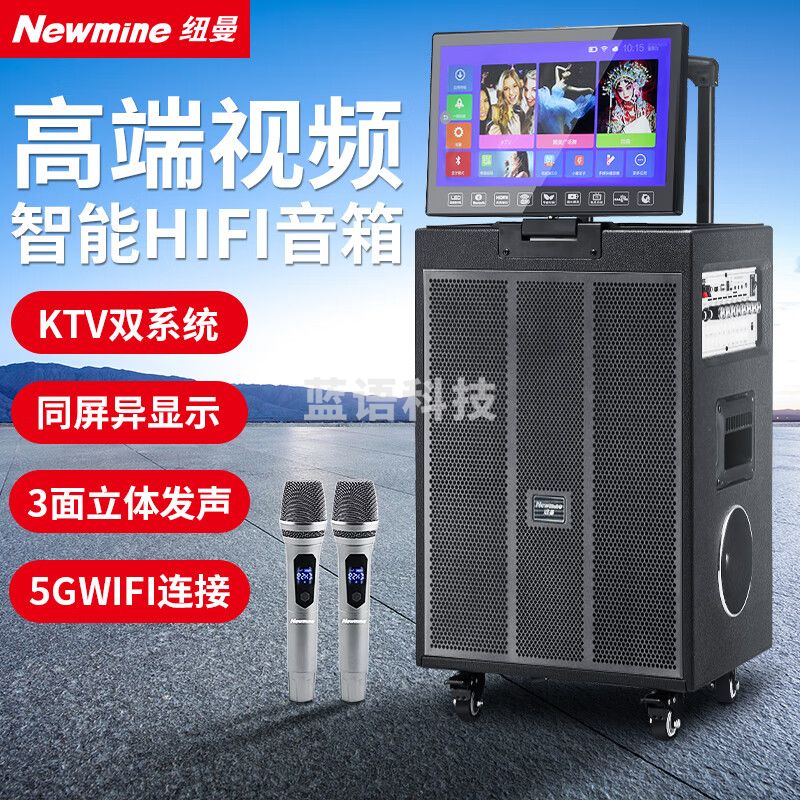 纽曼N517 一体机广场舞带显示屏大功率 户外便携电木吉他民谣乐器音箱直播蓝牙音箱