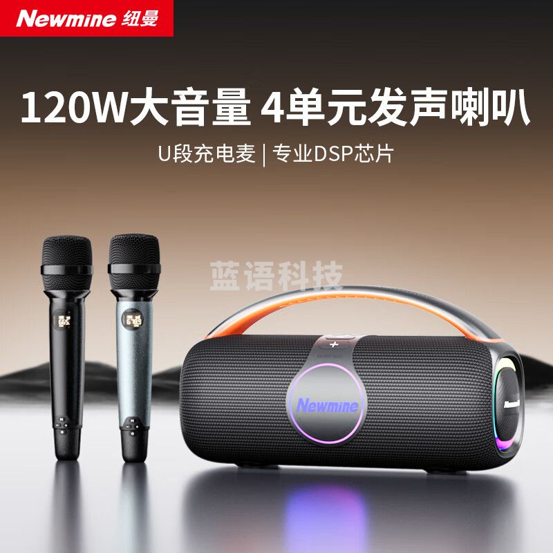 纽曼N500无线蓝牙音箱广场舞音响 KTV套装户外大音量便携式大功率低音炮 双麦