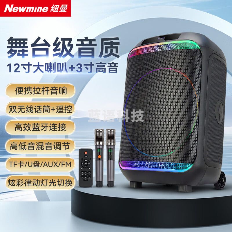 纽曼（Newmine）N532 12寸 广场舞音响户外大音量 高音质重低音蓝牙音箱高保真实用移动便携式喇叭带麦克风超长续航