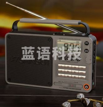 山水(SANSUI)老年人收音机广播半导体便携式老人迷你FM收音机无线蓝牙音箱 F26灰黑色