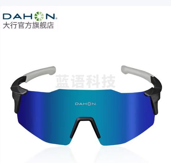 大行（DAHON） 骑行眼镜变色偏光眼镜防风沙护目镜运动户外单车骑行装备 001款（黑/绿）