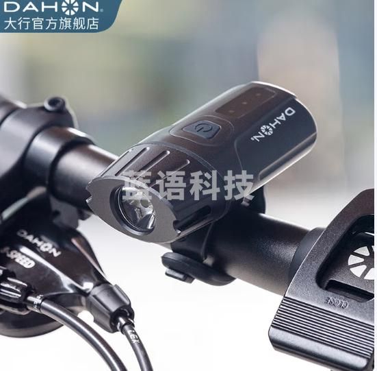 大行（DAHON） 自行车车前灯USB充电强光手电筒夜骑照明灯骑行配件