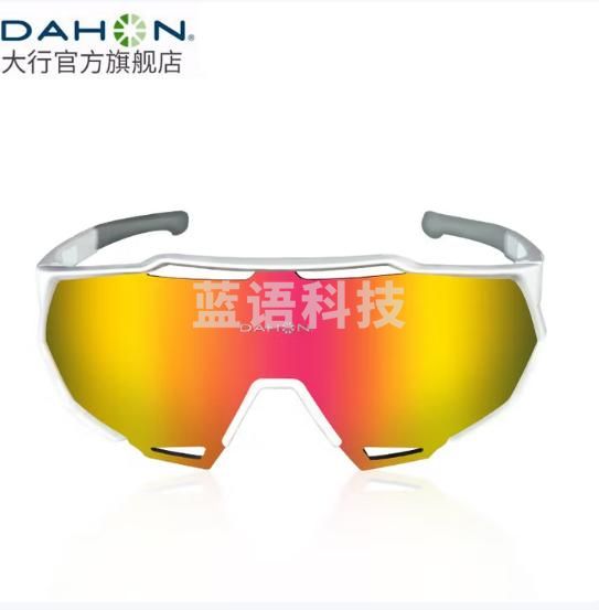 大行（DAHON） 骑行眼镜变色偏光眼镜防风沙护目镜运动户外单车骑行装备 002款（白色）