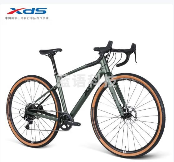 喜德盛（xds）【吴磊推荐】碳纤维公路车GT600桶轴车架Sram油碟11速橄榄绿450