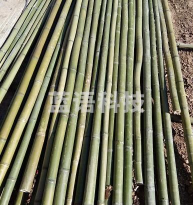 威佳跳高竹竿wj-9058