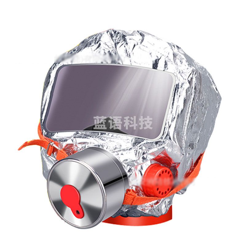 过滤式呼吸面罩 标准款