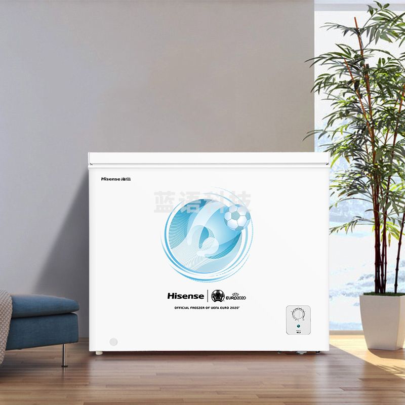 海信（Hisense）家用小型迷你冰柜  冷藏冷冻转换冷柜节能低噪节能BD/BC-202ND