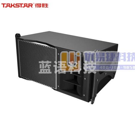 得胜（TAKSTAR）ESA-081 全频线阵音箱 8吋线性阵列 低失真高灵敏度 小型演出剧场多功能厅  黑色