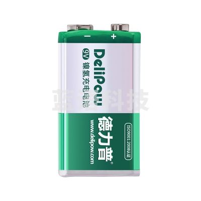 德力普9号电池2块/组（CX202411221651353868）