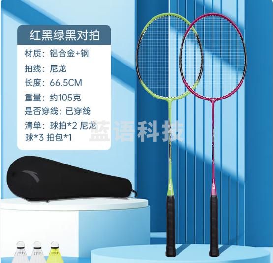 安踏羽毛球拍对拍轻巧耐打入门双拍训练球拍套装附3颗球