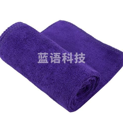 海斯迪克 HKY-71 多用途清洁抹布 擦玻璃搞卫生厨房地板洗车毛巾 酒店物业清洁抹布30×60cm 紫色(10条)