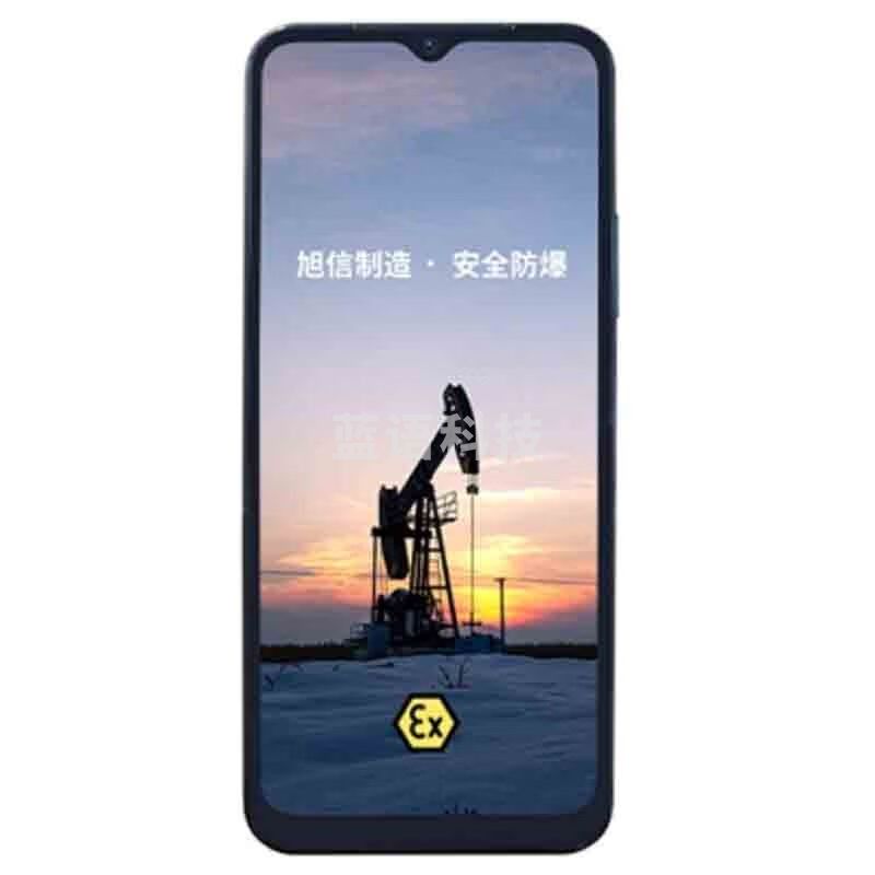 旭信（XUXIN）X22防爆手持终端 适用加油站 天然气 石油 化工6+128G