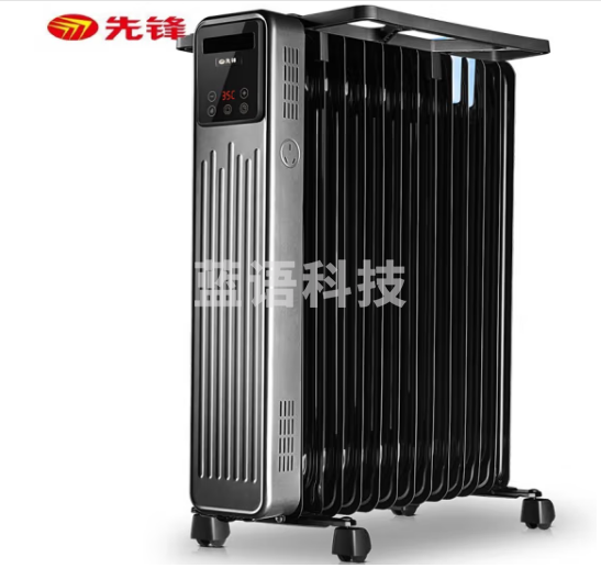 先锋(Singfun)取暖器电暖气电暖器电热油汀全屋取暖烘衣加湿节能省电遥控&触屏高清屏 13片DYT-Z9R
