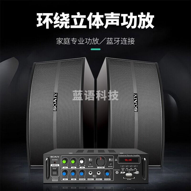 索爱（soaiy）家庭影院客厅电视KTV音响家用商用会议门店设备卡拉ok唱歌全套专业功放话筒音箱组合套装CK-M66