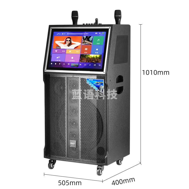 先科（SAST)SW-899家庭ktv音响套装卡拉OK点唱机视频音箱移动户外广场舞音响家用k歌专用点歌机一体机 4T