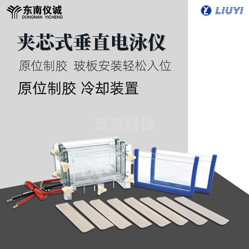 六一六一双板夹芯式垂直电泳仪DYCZ-30B实验室种子检测蛋白凝胶电泳槽 DYCZ-30B 单板夹芯式