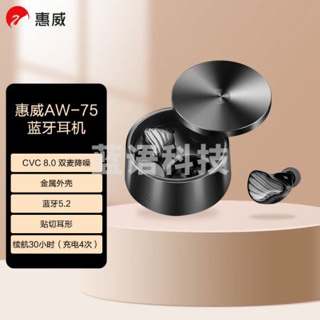 惠威（HiVi）AW-75 无线蓝牙耳机 真无线HiFi耳机蓝牙5.2长续航支持通话降噪 青灰
