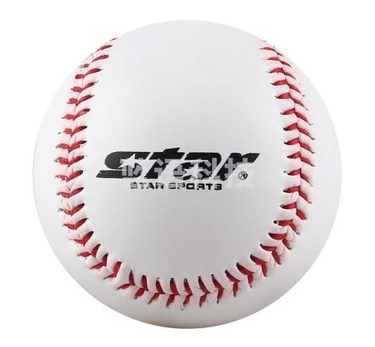 世达（star）软式棒球9英寸青少年中小学生初学者训练考试比赛用棒球WB302