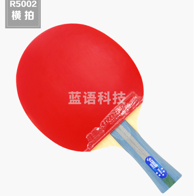 红双喜DHS R5002乒乓球拍 横拍双面反胶弧圈结合快攻5星单拍R5002(附拍套)