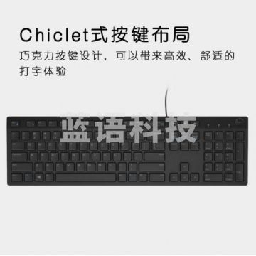 戴尔(DELL)KB216 键盘 有线 多媒体键盘 办公键盘 全尺寸键盘 即插即用 键盘(黑色)PJ.975