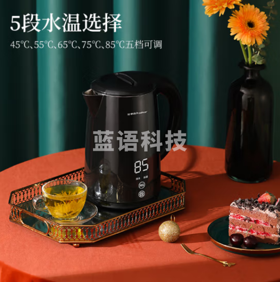 荣事达（Royalstar）电热水壶热水壶电水壶316不锈钢材质1.7L大容量智能保温水壶煮茶壶GS17A03