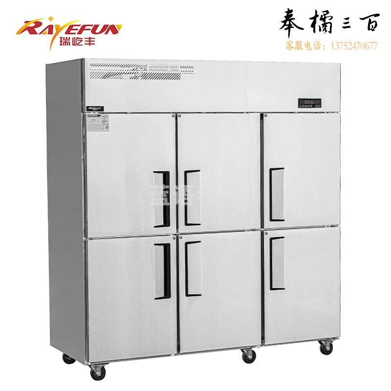 瑞屹丰 BX-06FD 全冷冻 风冷六门冰柜 全铜管商用冷柜雪柜保鲜柜立式 专用电冰箱