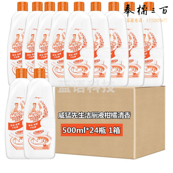 威猛先生 洁厕液 柑橘清香500g *24瓶（箱）