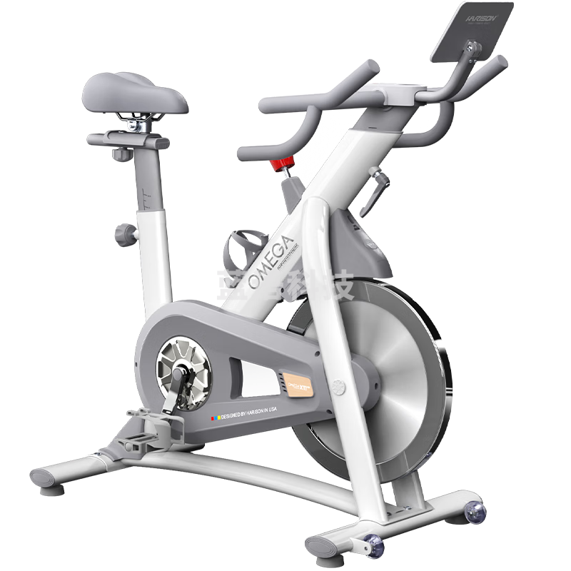 HARISON美国汉臣动感单车健身房级家用智能磁控运动器材室内自行车X11eco