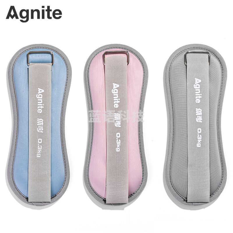 安格耐特FT309-0.3kg负重沙袋(混色)(2个/付)