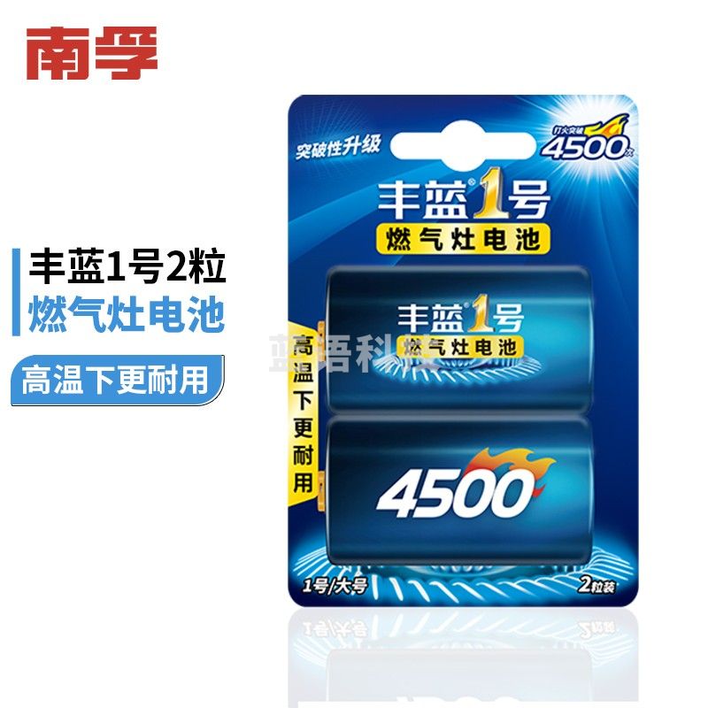 南孚  丰蓝电池大号二粒挂卡装RBR20P-2B