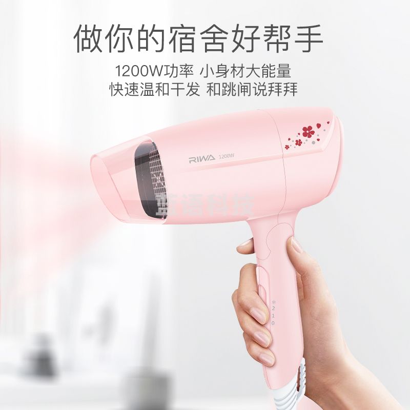 雷瓦（RIWA） 负离子护发吹风机低噪电吹风礼物家用风筒 RC-7112