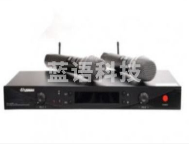 湖山(HUSHAN)   无线话筒 U段 无线麦克风专业K歌 家庭KTV演唱会议主持专业话筒 DS-UT20 (一拖二)